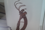 Kokopelli-Arbeit von Groeg